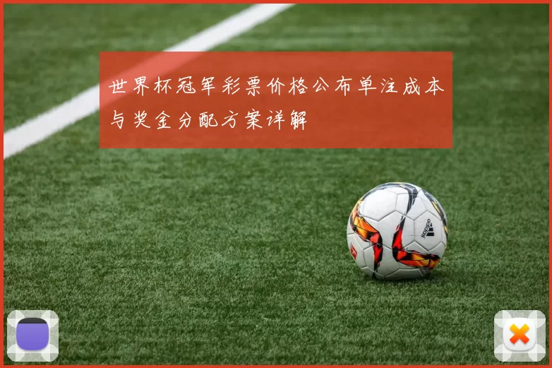 世界杯冠军彩票价格公布单注成本与奖金分配方案详解